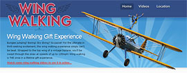 Wing Walking Experience